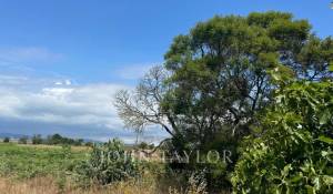 Vendita Terreno Comporta