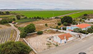 Vendita Terreno Comporta