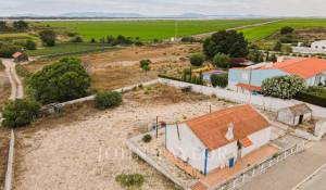 Vendita Terreno Comporta