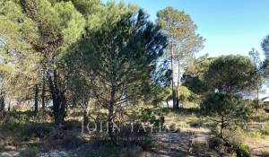 Vendita Terreno Comporta