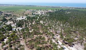 Vendita Terreno Comporta