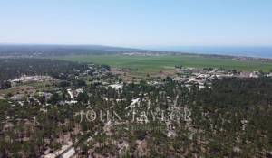 Vendita Terreno Comporta