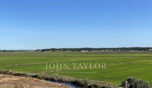 Vendita Terreno Comporta