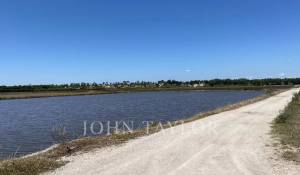 Vendita Terreno Comporta