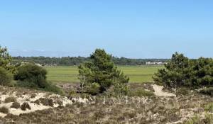 Vendita Terreno Comporta