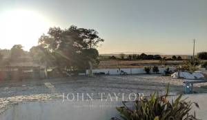 Vendita Terreno Comporta