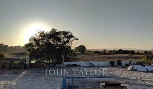 Vendita Terreno Comporta