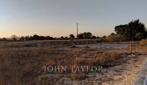 Vendita Terreno Comporta