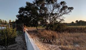 Vendita Terreno Comporta