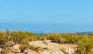 Vendita Terreno edificabile Essaouira