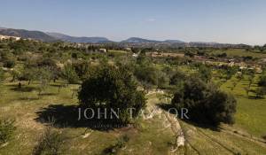 Vendita Terreno edificabile Moscari