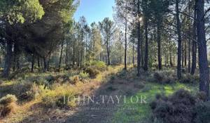 Vendita Terreno Grândola e Santa Margarida da Serra