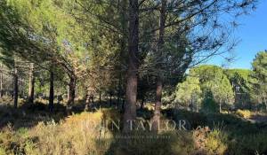 Vendita Terreno Grândola e Santa Margarida da Serra