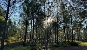 Vendita Terreno Grândola e Santa Margarida da Serra