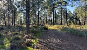 Vendita Terreno Grândola e Santa Margarida da Serra