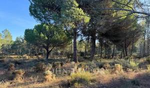 Vendita Terreno Grândola e Santa Margarida da Serra