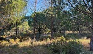 Vendita Terreno Grândola e Santa Margarida da Serra