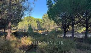 Vendita Terreno Grândola e Santa Margarida da Serra