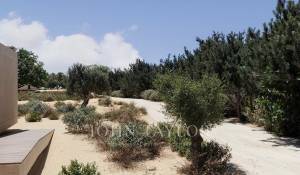 Vendita Terreno Grândola e Santa Margarida da Serra