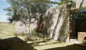 Vendita Terreno Melides