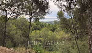 Vendita Terreno Palma de Mallorca