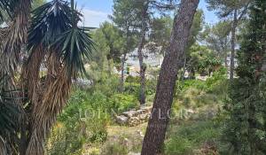 Vendita Terreno Peguera