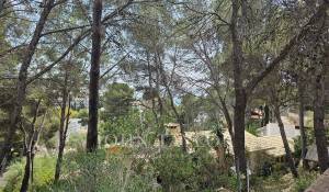 Vendita Terreno Peguera