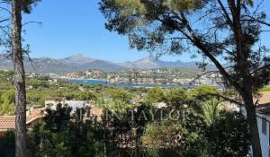Vendita Terreno Santa Ponsa