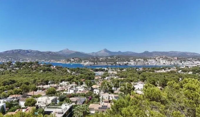Vendita Terreno Santa Ponsa