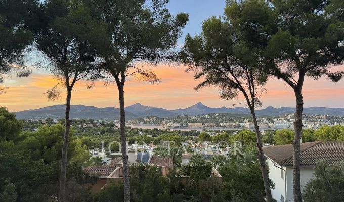 Vendita Terreno Santa Ponsa