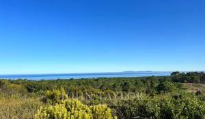 Vendita Terreno Sesimbra