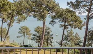 Vendita Triplex Cap-Ferret