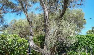 Vendita Villa Antibes