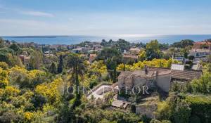 Vendita Villa Cannes