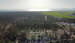 Vendita Villa Carvalhal