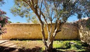 Vendita Villa Essaouira