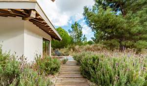 Vendita Villa Grândola e Santa Margarida da Serra