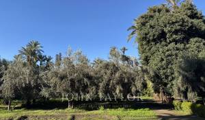 Vendita Villa Marrakech