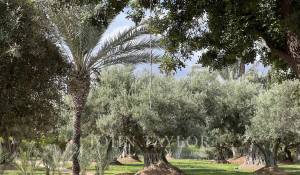 Vendita Villa Marrakech