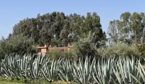 Vendita Villa Marrakech