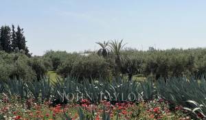 Vendita Villa Marrakech