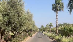 Vendita Villa Marrakech