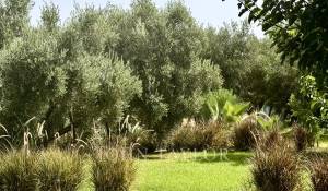 Vendita Villa Marrakech