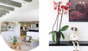 Vendita Villa Mougins