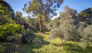 Vendita Villa Mougins