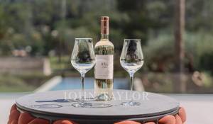 Vendita Villa Mougins