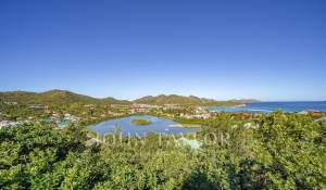 Vendita Villa Saint-Barthélemy