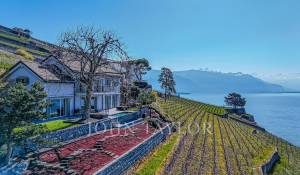Vendita Villa Saint-Saphorin