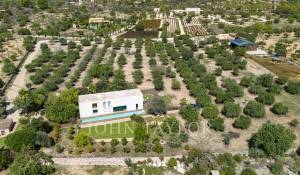 Vendita Villa Santa María del Camí