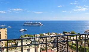 Vendita Attico Monaco